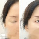 미모가눈썹