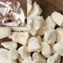 바오밥나무기타 이미지