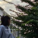 포토스트리트웜앤쿨은계