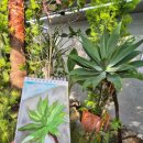 다독다독 힐링 책방 이미지