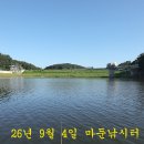 나오면 척상급! 이미지