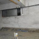 비래서로 이미지