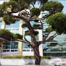 개령중학교 이미지