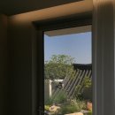 아프레투아 이미지