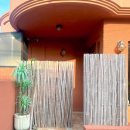 아레나로하 이미지