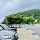 할리스커피양산