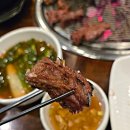 본가갈비 | [라페스타 맛집] 일산 소갈비 맛집의 정석! '본가갈비 라페스타직영점' 내돈내산 후기