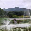 초막골 생태공원 이미지