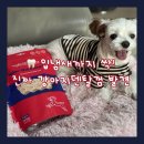 우리덴탈 | 강아지간식추천 | 입냄새·치석 걱정 끝! 네이처트레이스 스파이더웹 덴탈바 솔직 후기