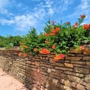 학동마을 화장실 이미지