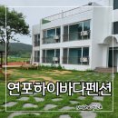 태안 2박 3일 여행 : 연포 해수욕장 근처 태안 애견 동반 펜션 연포하이바다펜션 후기