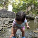 곤지암 리조트 즐길거리 총정리｜느티나무 BBQ · 생태하천 · 화담숲 · 겨울 눈썰매까지