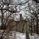 엄지손떡볶이 | 왓인라 22주차, 즉흥 소비를 떠나는 마음