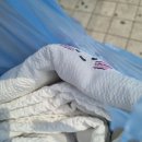 7월21일~22일 데이트 긴머리안녕 단발머리 다우리 청년다방 드라이아사히후기 선물 오빵이랑데이트