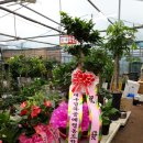 대구경북공예협동조합 이미지