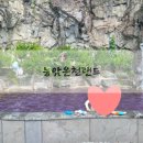 능암온천 | 충주 능암탄산온천 다녀온후기 핀란드식 사우나 가능 가족탕도 있어요