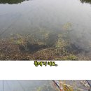 은파낚시