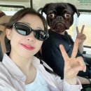 [공지] 내돈내산 인증! 피크타임 나트랑 하프 시트투어 단독투어 : 가족들과의 시티투어 찐솔직후기😁