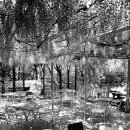 야외음악당(실내) 이미지