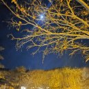 가족과 함께하는 민속놀이 | 대전 하소동에 위치한 옛터민속박물관에서 가족과 함께한 불꽃축제 구경 후기 및 체험정보 공유