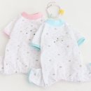 파자마독 이미지