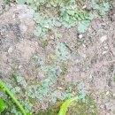 황보농장 이미지