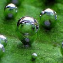 매화산목장 이미지