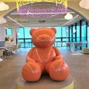 댕그르르 이미지