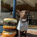 개린이세상 | 제주 키코버거(KIKO BURGER) 후기 : 강아지와 편하게 다녀왔어요(중대형견 실내동반가능)