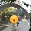 로코코블랑 | 플래너 없이 한 결혼 준비 순서 정리 | 직장병행 대학원생 커플이 실제로 한 월별 준비