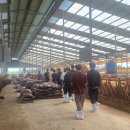 문금 농장 이미지