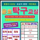 윤호탁구교실