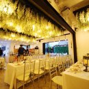 아모르하우스 이미지