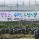 영승농장 네이버블로그