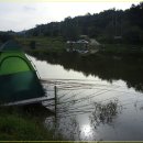 대물낚시 이미지