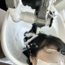 살롱드아보 | 위례미용실추천 살롱드아보 레이어드 c컬 펌 후기