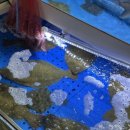 안면도수산시장(안면도장터) 이미지