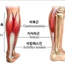 펌프짐헬스클럽 이미지