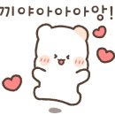콩·붕 이미지