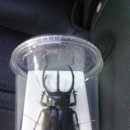(주)충우 이미지