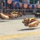 슬기로운식탁 이미지