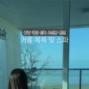 스테이도유 이미지