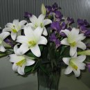 연세학운외과 이미지