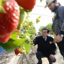 김이순농장 이미지