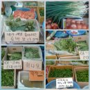 신도야채 - 서구 도마시장2길 49 | 신도야채