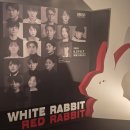 세종문화회관 S씨어터 연극 화이트래빗 레드래빗 후기(OP열 시야/김경남)