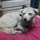 강남해안로 이미지