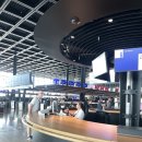 (주)공항버스노동조합 | [독일 프랑크푸르트 공항] 3 터미널 이용 후기 | 스카이라인 트레인, 기차 버스 대중교통 이동 방법...