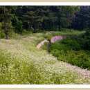 경기도 안성 죽주산성 이미지