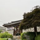 파주 복날 삼계탕 퍼스트가든 맛집 바윗재백숙